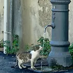 Διαμέρισμα La Finestra Sul Nasone Ρώμη